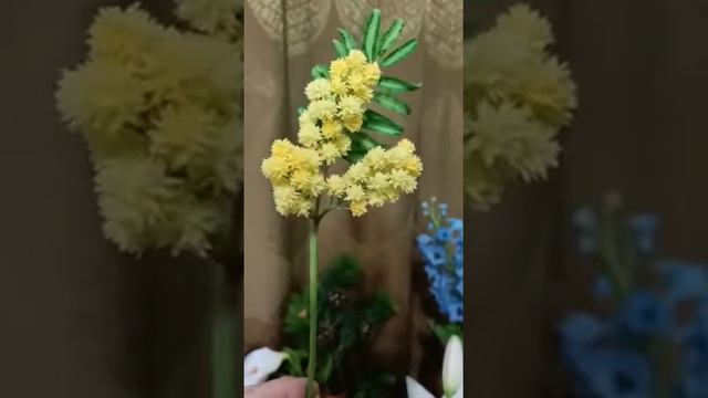 МИМОЗА смотреть онлайн