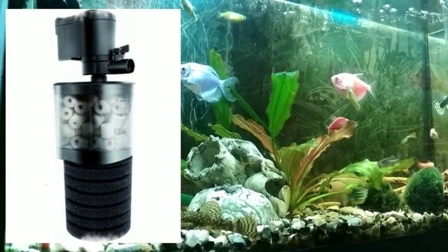 Какой выбрать фильтр в аквариум??? Наружный или внутренний? смотреть онлайн