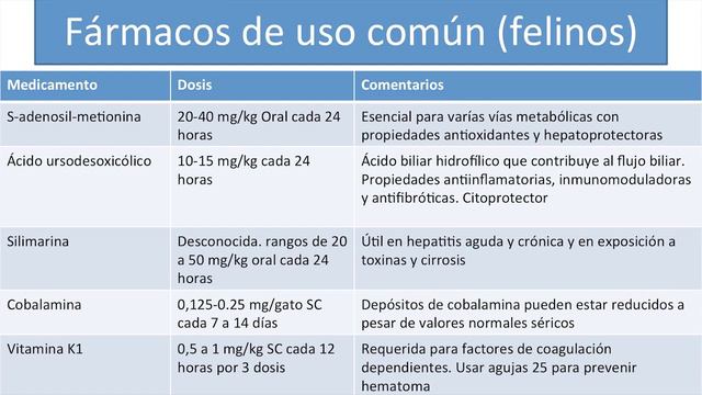 2- higado-pancreas смотреть онлайн
