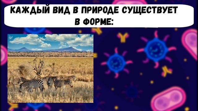 Тест по биологии за 6 класс / Только круглый отличник справится с тестом по ботанике / Botanya Tany смотреть онлайн