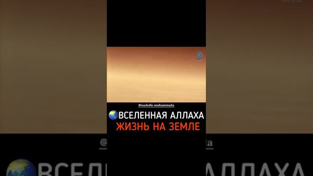 Всемогущий Аллах ! смотреть онлайн