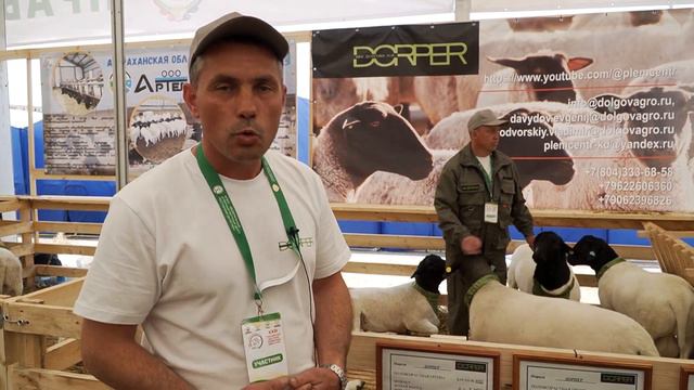 Итоги выставки. Репортаж о дорперах смотреть онлайн