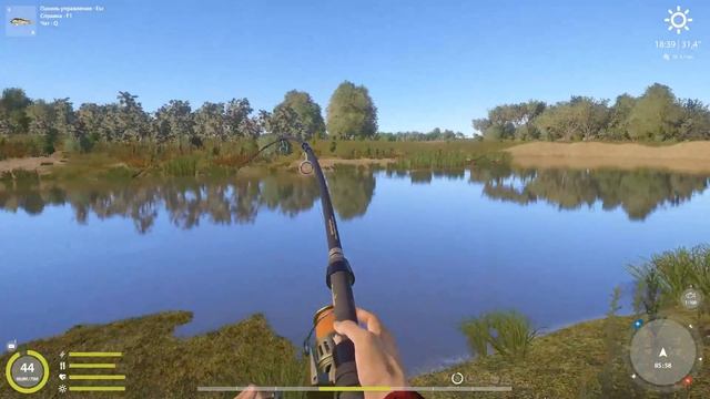 Русская рыбалка 4. Белуга каспийская 703кг смотреть онлайн