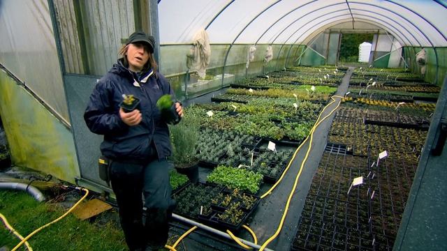 Gordon's Guide To Herbs смотреть онлайн