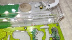 Муравьи убрали формикарий - Порядок в муравьиной ферме