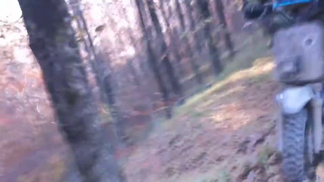 Скутер шип смотреть онлайн