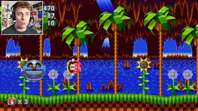 DEVIANTART Meets SONIC | AMY XL