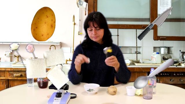 Профессиональная проба "Биолог" смотреть онлайн