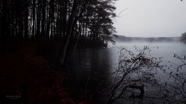 Relaxing Walk In Thunderstorm, Binaural Rain And Nature Sounds For Sleep And Study | 4k ASMR.mkv