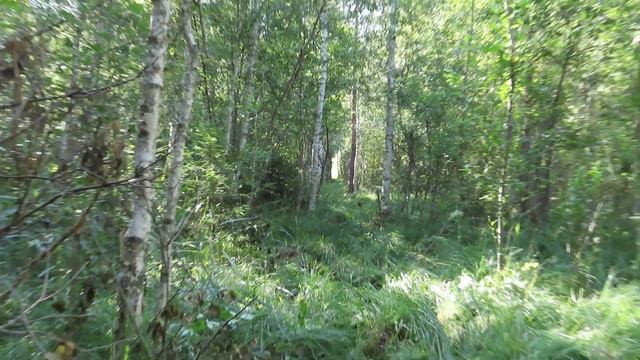 FX Crown 1.46 метров смотреть онлайн