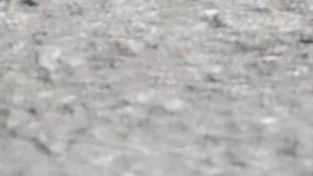 Футаж для видеомонтажа. Голуби крупным планом. смотреть онлайн