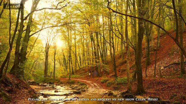 Peaceful Relaxing Instrumental Music, Beautiful Music 