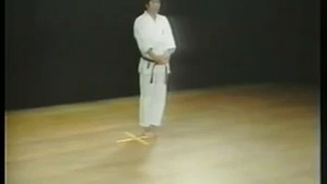 Bassai Dai Shotokan Karate смотреть онлайн