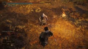 Лучшая КОСА в Elden Ring