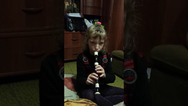 Сурок блок флейта