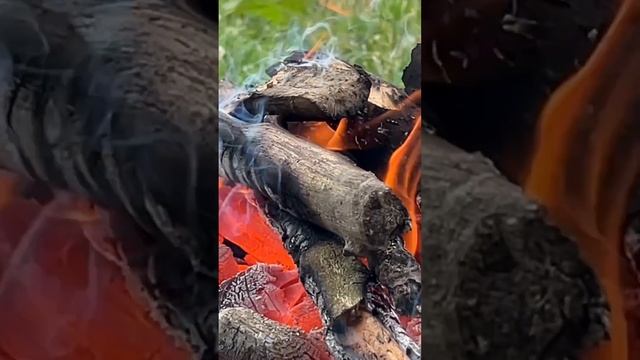 Capelin on the grill/Мойва на мангале #fish #fishgrill #smokefish #onion #мойва #shorts #tastyfood смотреть онлайн