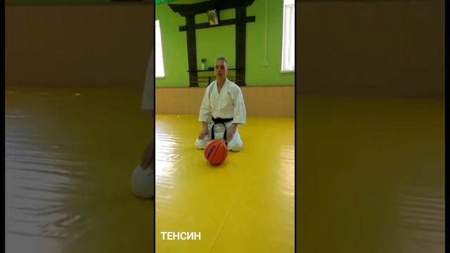 Тенсин в Онлайн. Урок 06 смотреть онлайн