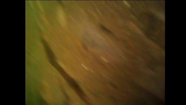 Подводная съёмка пруда. смотреть онлайн