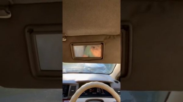 Deaf bonce sa 272 и dl audio 2500