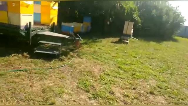 Медовый Рай в гостях у Антохе!!! смотреть онлайн