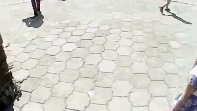 поход в зоопарк часть 1 смотреть онлайн