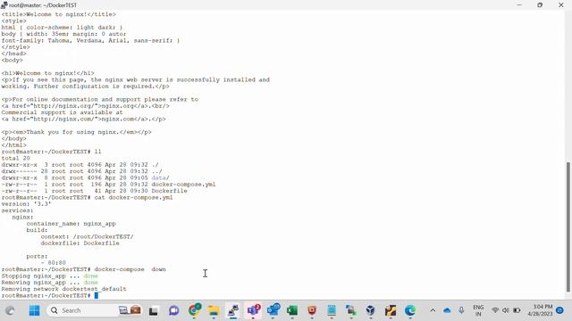 how to configure nginx in docker container смотреть онлайн
