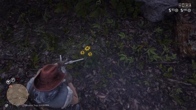 RED DEAD ONLINE CHOCOLATE DAISY Cycle 4 Locations - American Wild Flowers Collection RDO смотреть онлайн