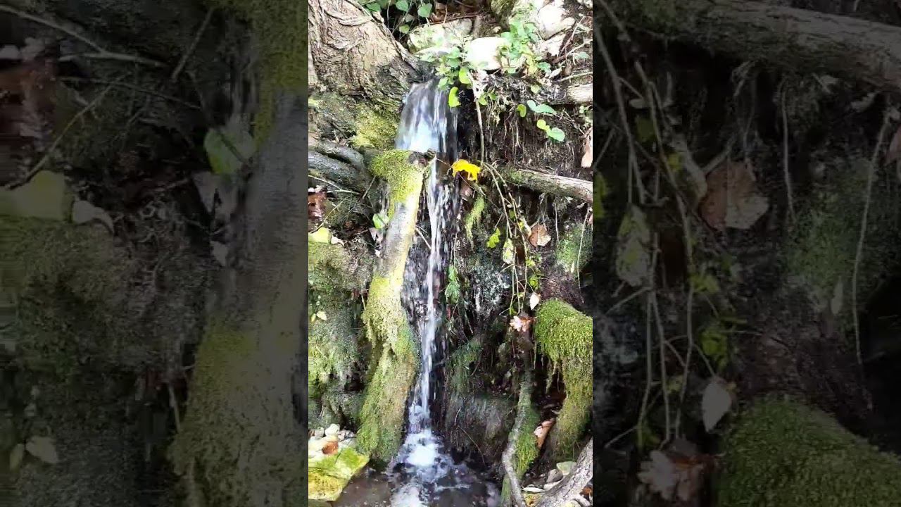 25.11.22 г.Погода Лазаревское #shorts #лазаревское2022 #погодалазаревское #погодасочи #сочи смотреть онлайн