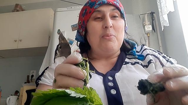 Как лезгины  едят   крапиву.  (къикиф)