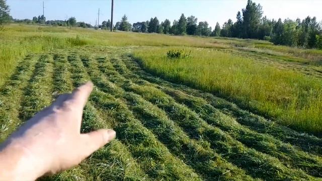 Первый тест-драйв РОТОРНОЙ КОСИЛКИ с мотоблоком смотреть онлайн