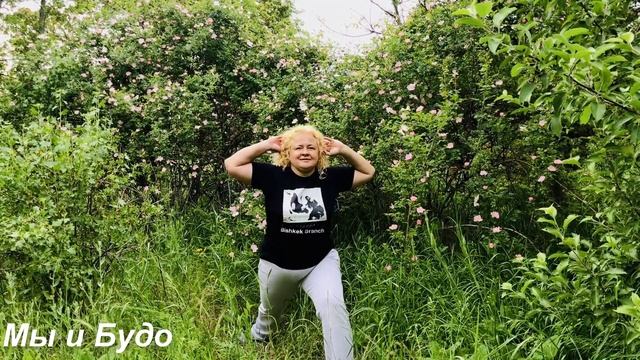 0 и 1 классы урок 6 Боевые искусства и ЛФК смотреть онлайн