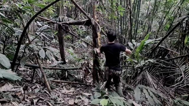 Boar And Strange Things, Survival instinct, Wilderness Alone, Episode 66 смотреть онлайн