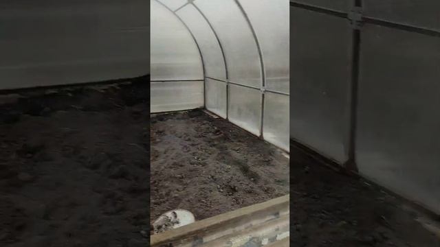 Суп из Баранины с Рисом