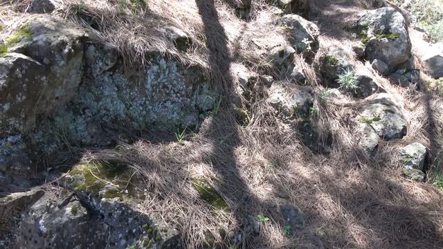Смотровые площадки Тенерифе: Смотровая площадка Каменная роза - 04.06.2018 смотреть онлайн