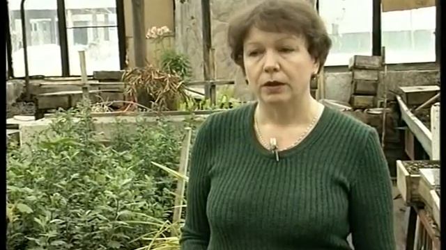 Что нужно рассаде? Советы агронома. смотреть онлайн