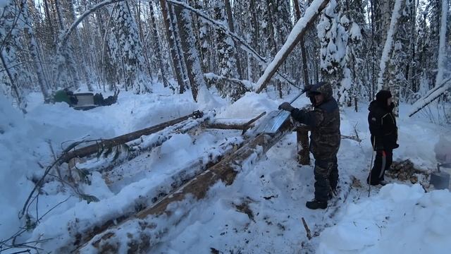 Добрались до стройки в лесу! Первые венцы! Шурмички на костре! смотреть онлайн