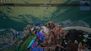 Сбор жемчуга, кораллов и омаров в BDO