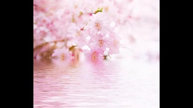 Волшебная мантра - пробуждения женственности и исцеления всех женских проблем, и на физике и духов смотреть онлайн