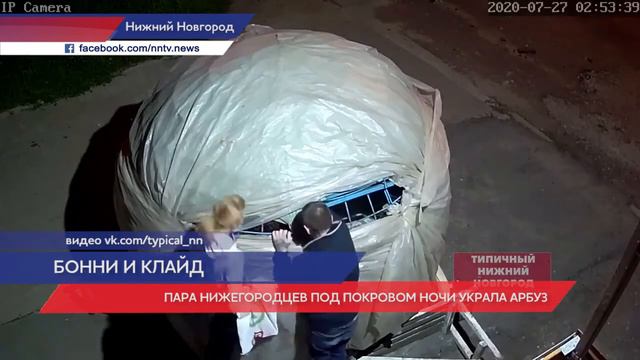 Пара нижегородцев под покровом ночи украла арбуз