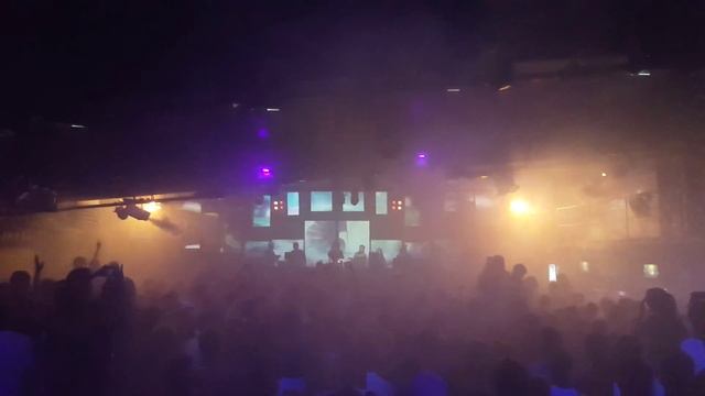 Mandragora Live Perform Lyon 8 Janvier 2016