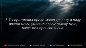 22 Псалом Давида / Ветхий завет / Синодальный перевод / аудио Библия / молитва / Audio Bible / 4К