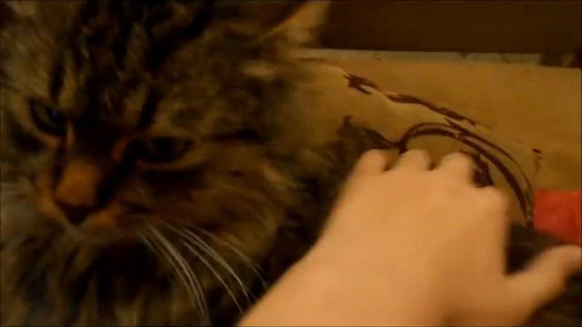 Рецепт идеального подарка на Новый год