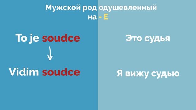 Мужской род одушевленный | Akuzativ singuláru - KOHO? CO? | Практика |Чешские падежи смотреть онлайн