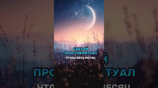 1000040483.mp4 смотреть онлайн