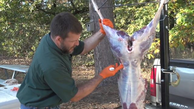 How To Skin And Debone A Deer