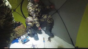 РЫБАЛКА В МОРОЗ -35//НАЛИМ НА СТУК//РЫБАЛКА НА РЫБИНСКОМ ВОДОХРАНИЛИЩЕ