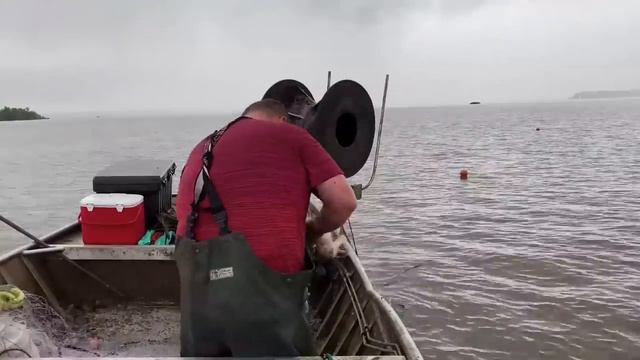 Asian Carp Fishing, Saving the Great Lakes from Aquatic Invasive Species смотреть онлайн