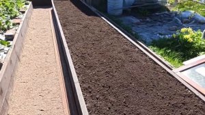 Картофель. Посадка под сено. Выращивание  без окучивания.