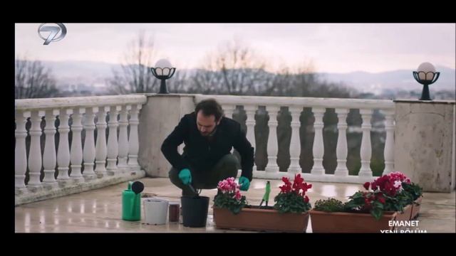 Emanet Episodio 347 Seher también decidió luchar por Yaman. Que empiece el amor. смотреть онлайн