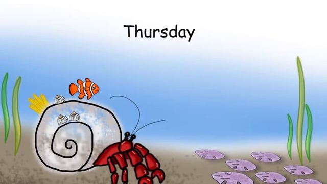 The New Adventure Of Hermit Crab